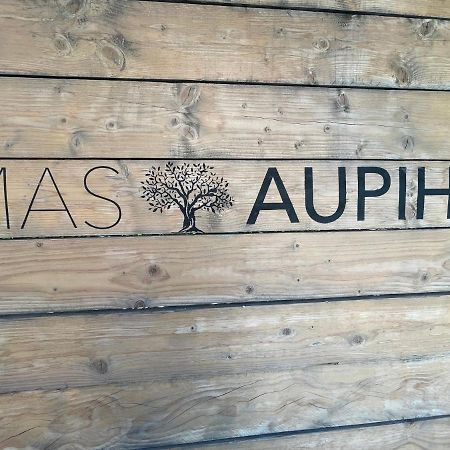Mas Aupiho Villa Saint-Remy-de-Provence Ngoại thất bức ảnh